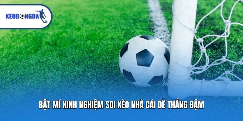 Bật mí kinh nghiệm soi kèo nhà cái dễ thắng đậm
